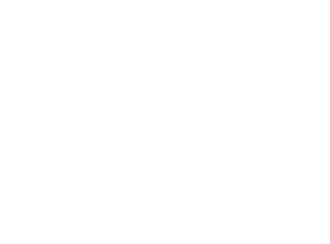 LSI